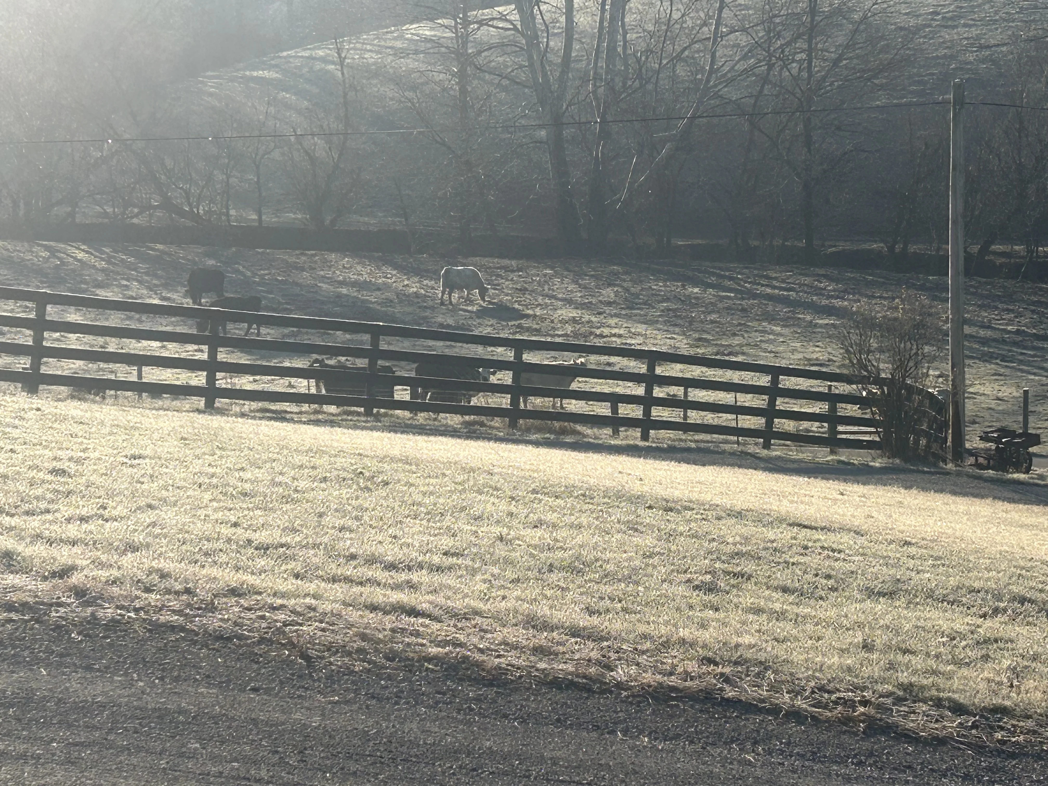 IMG_0123 2.webp